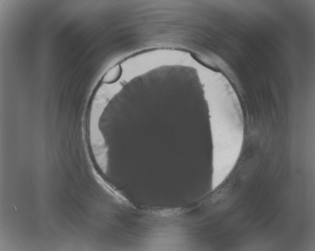X0000080780958200701122118
