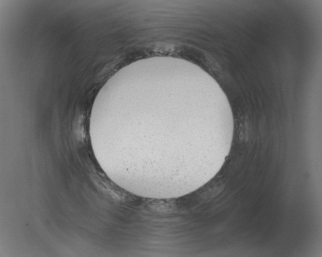 X0000080780962200701122117