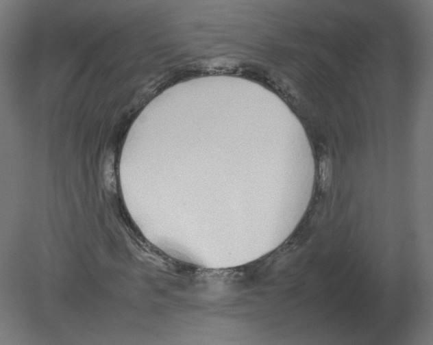 X0000080780963200701122117