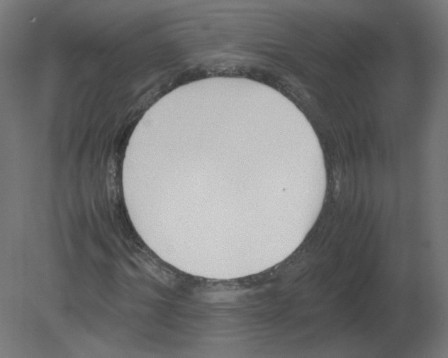 X0000080780964200701122117