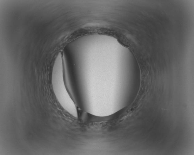 X0000080780965200701122117