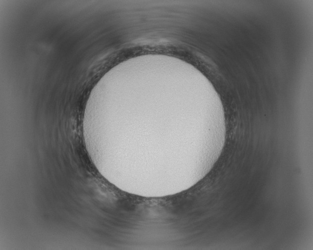 X0000080780966200701122117