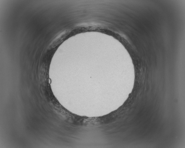 X0000080780967200701122117