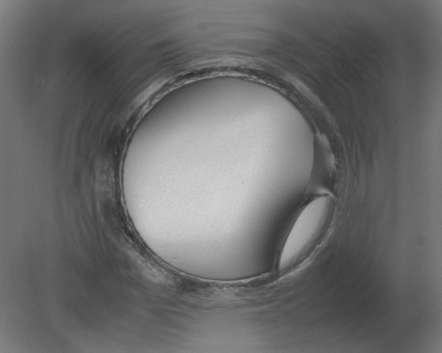 X0000080780969200701122117