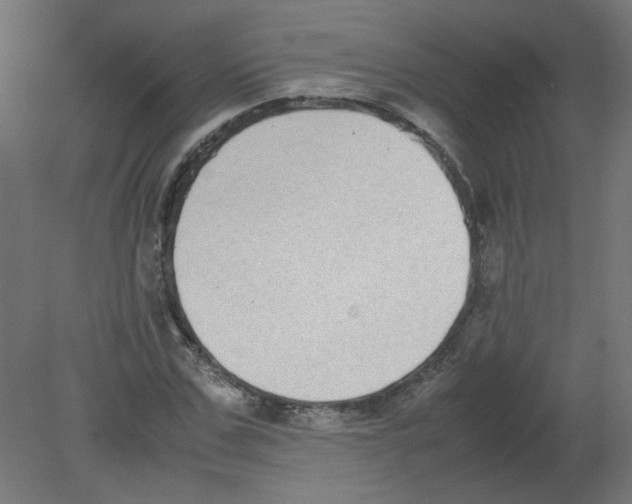 X0000080780971200701122117