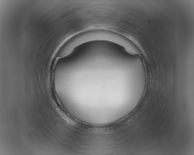 X0000080780976200701122117