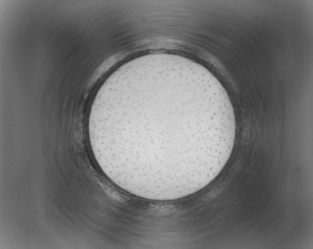 X0000080780978200701122117