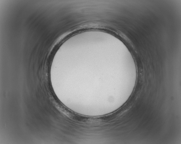 X0000080780981200701122117