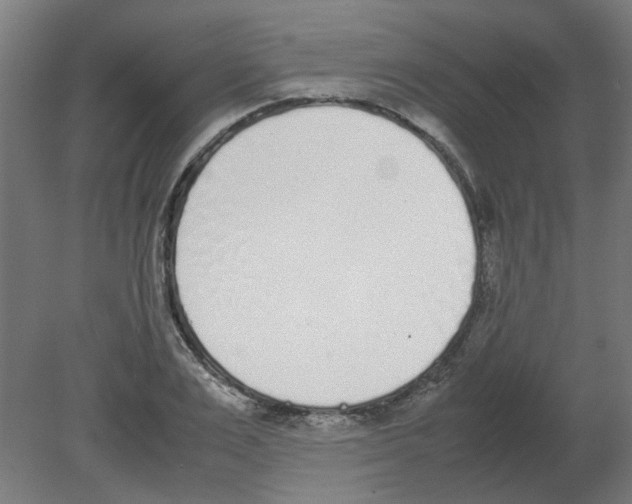 X0000080780983200701122117