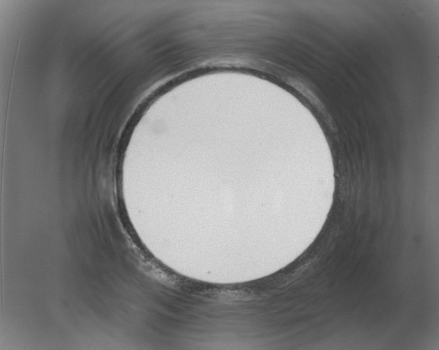 X0000080780984200701122117