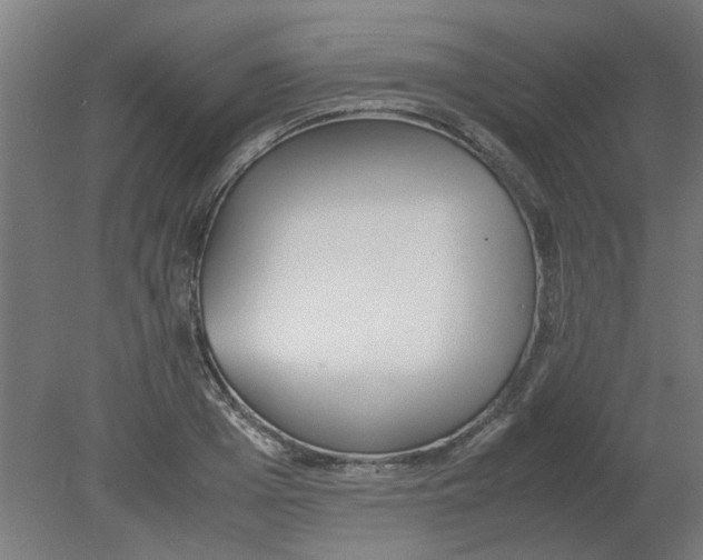 X0000080780985200701122117