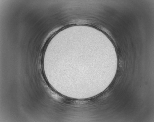 X0000080780987200701122117