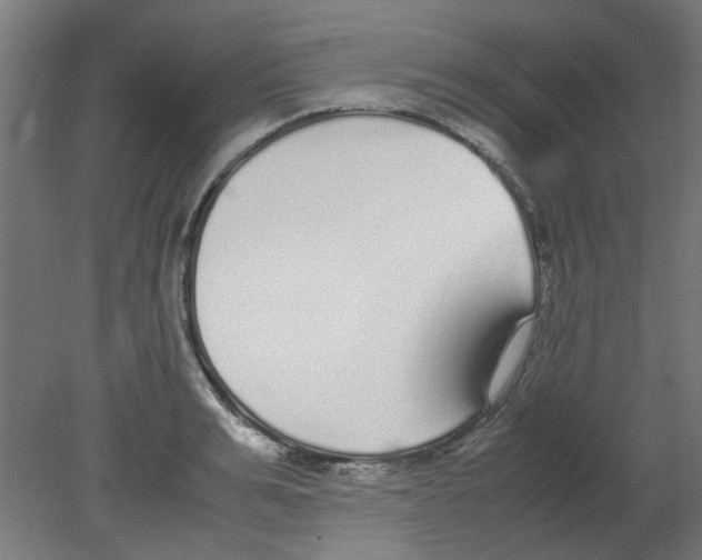 X0000080780991200701122117