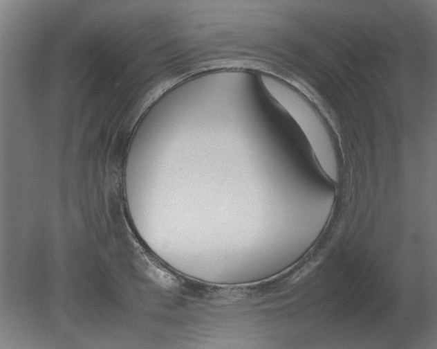 X0000080780993200701122117