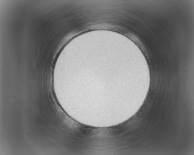 X0000080781000200701122117