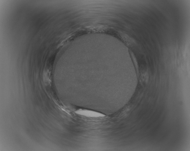 X0000080781010200701122116