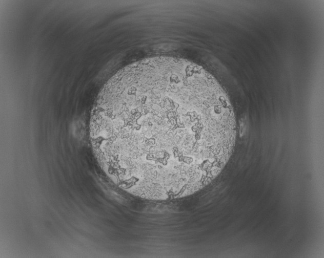 X0000080781011200701122116
