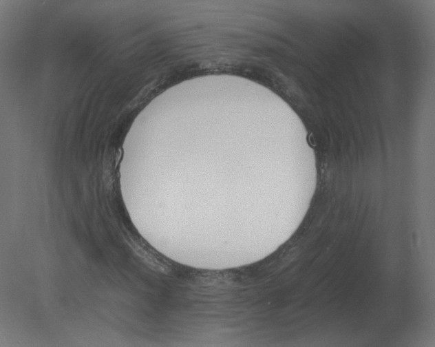 X0000080781012200701122116