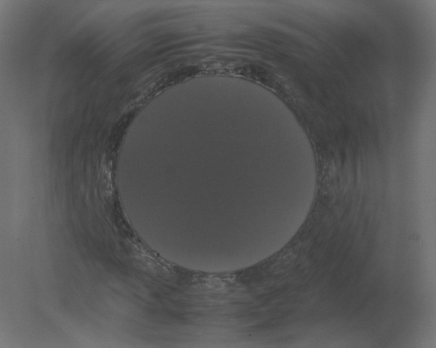X0000080781013200701122116
