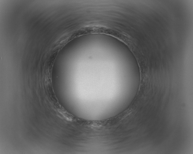 X0000080781014200701122116