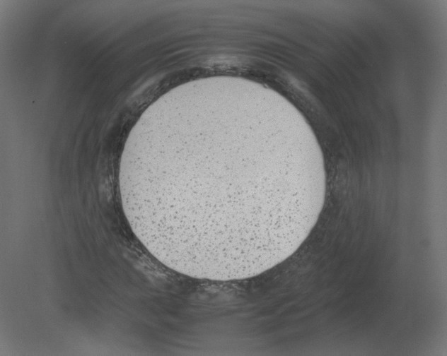 X0000080781015200701122116