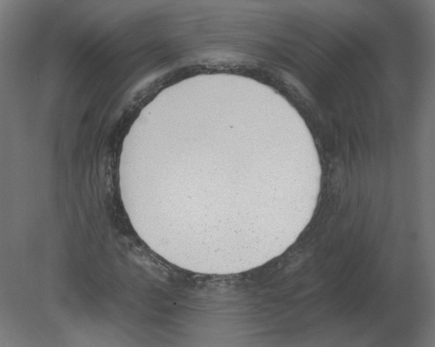 X0000080781016200701122116