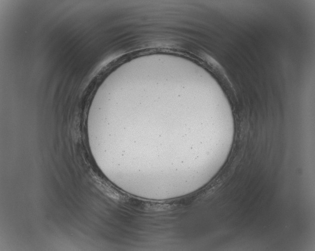 X0000080781019200701122116