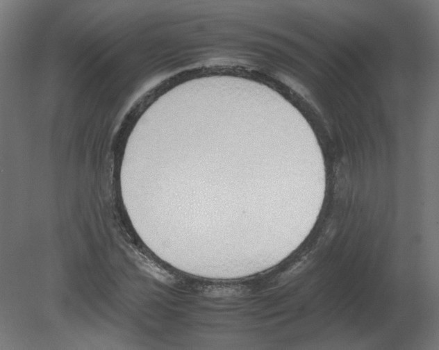 X0000080781021200701122116
