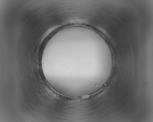 X0000080781022200701122116