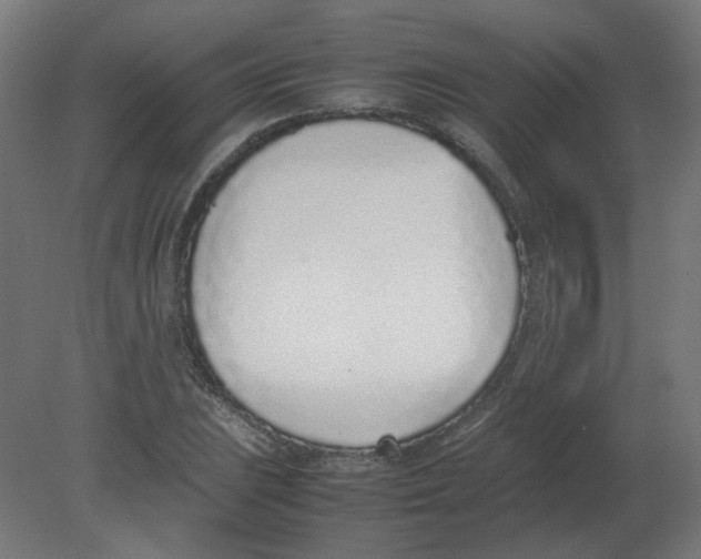 X0000080781023200701122116