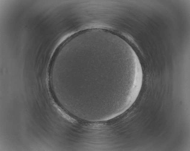 X0000080781024200701122116