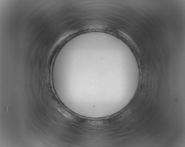 X0000080781027200701122116