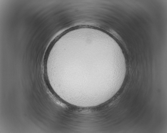 X0000080781028200701122116