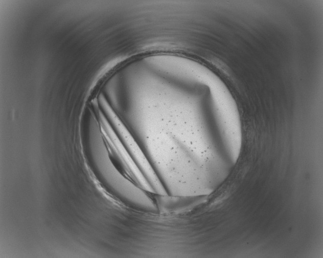 X0000080781030200701122116