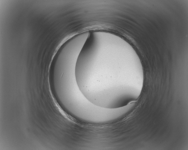 X0000080781034200701122116