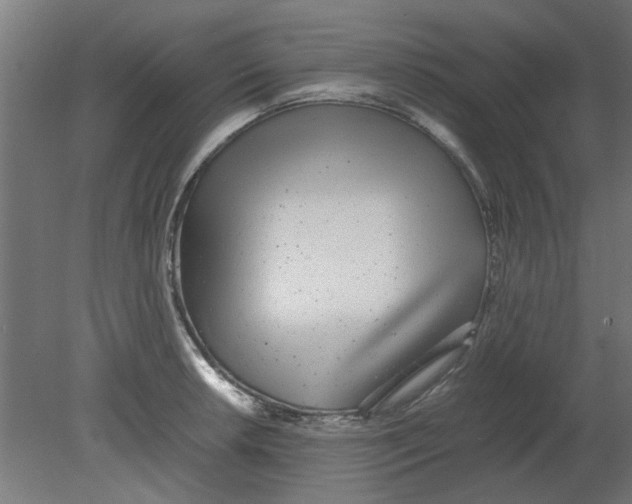 X0000080781042200701122116