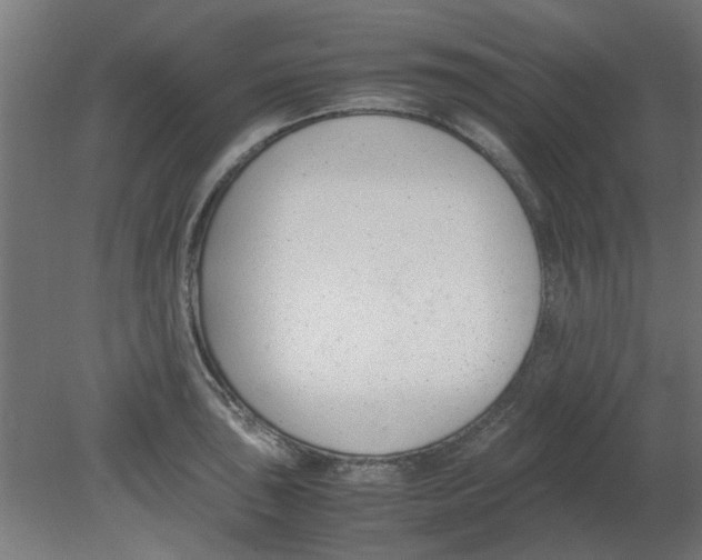 X0000080781043200701122116