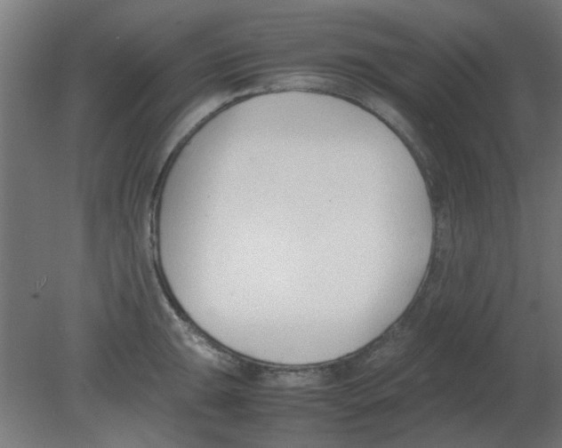X0000080781047200701122116