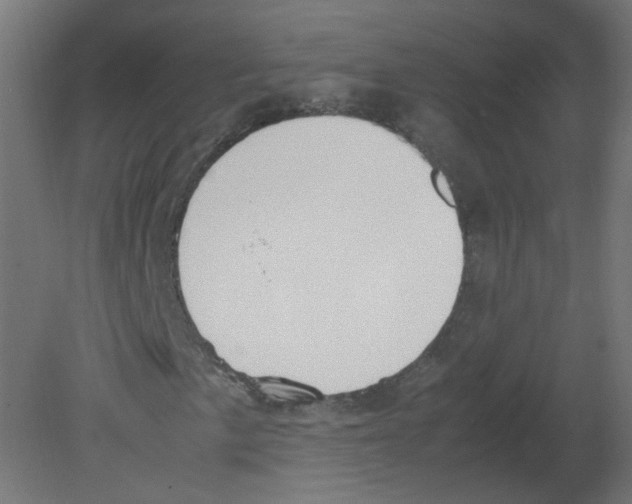 X0000080781057200701122116