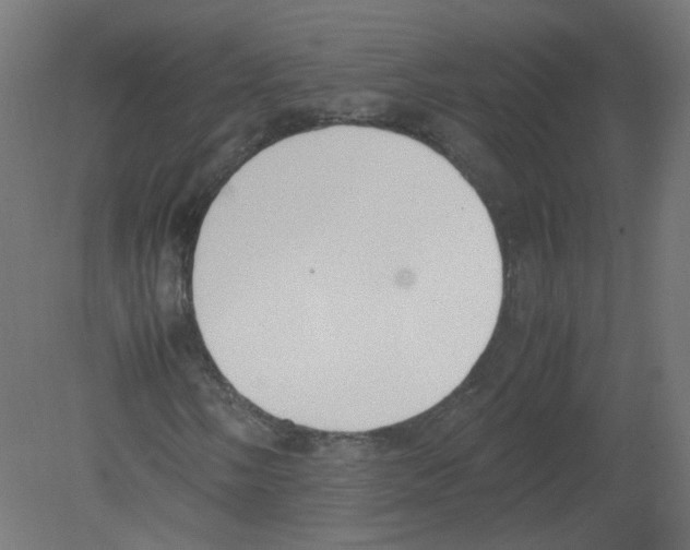 X0000080781058200701122116