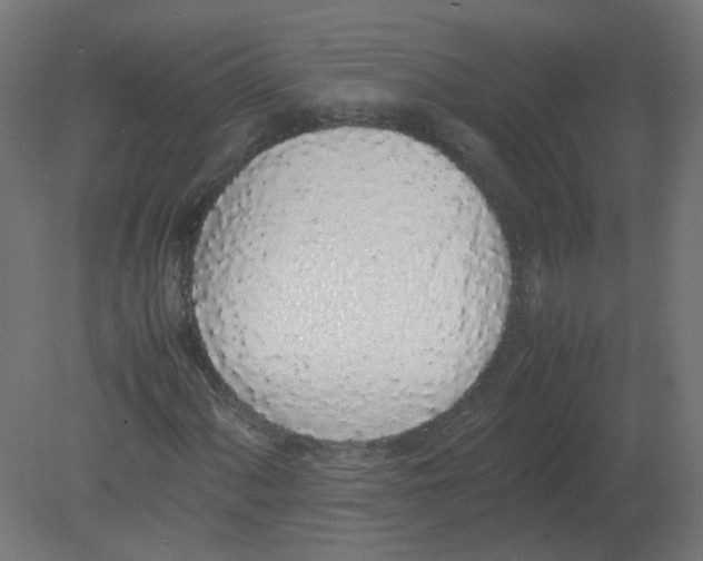 X0000080781060200701122116
