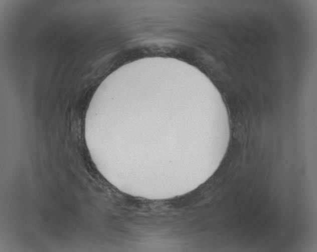 X0000080781061200701122116