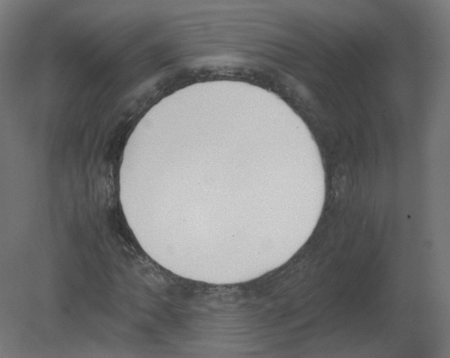 X0000080781062200701122116