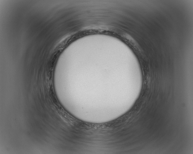 X0000080781064200701122116