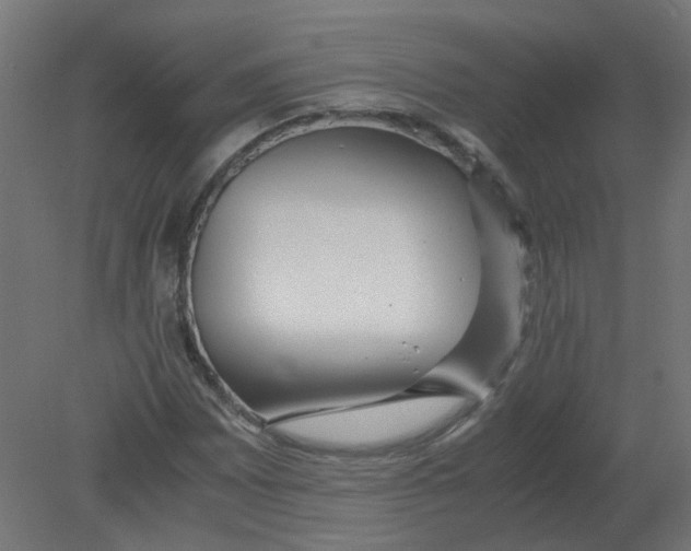 X0000080781065200701122116