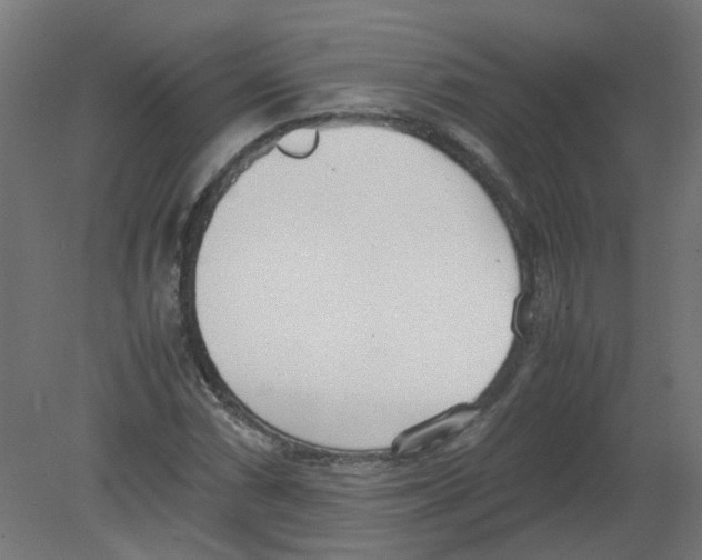 X0000080781066200701122116