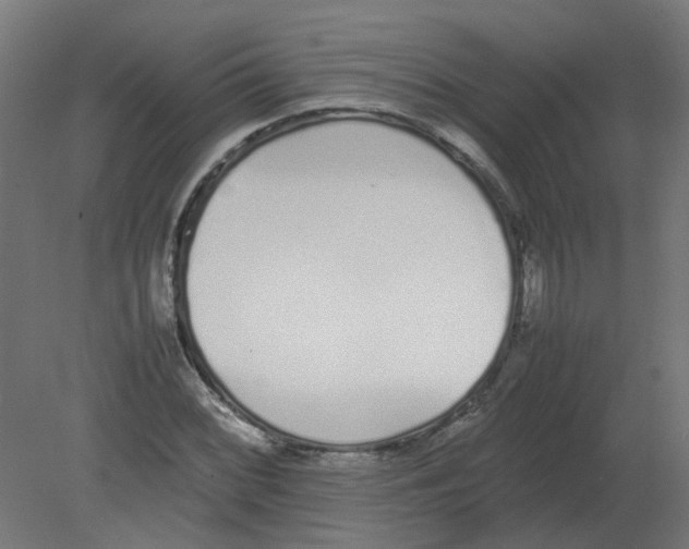 X0000080781068200701122115