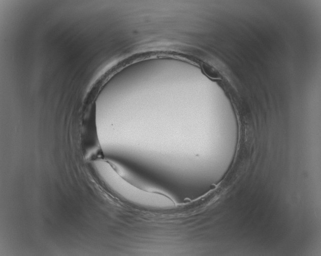 X0000080781069200701122115