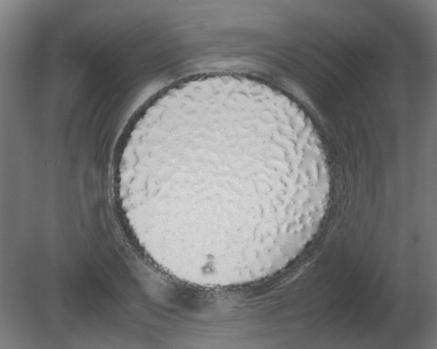 X0000080781079200701122115