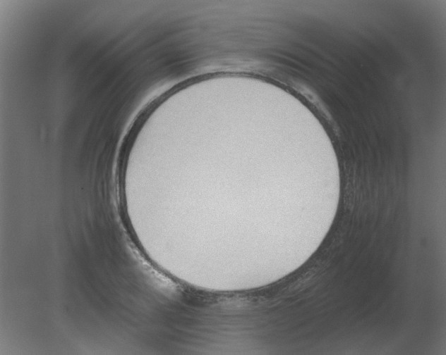 X0000080781080200701122115